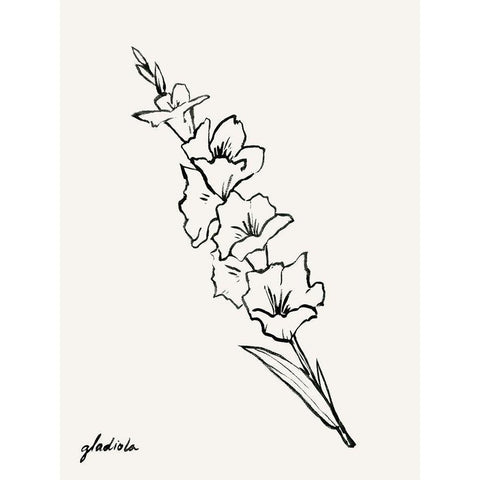 Gladiola Sketch I Black Modern Wood Framed Art Print with Double Matting by Popp, Grace