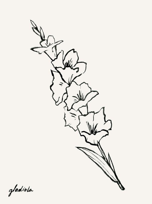 Image Only