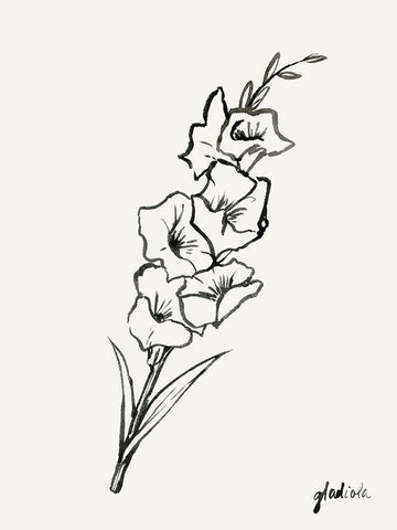 Gladiola Sketch II White Modern Wood Framed Art Print with Double Matting by Popp, Grace