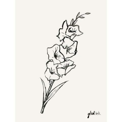 Gladiola Sketch II Black Modern Wood Framed Art Print with Double Matting by Popp, Grace