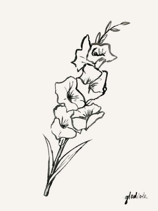 Image Only