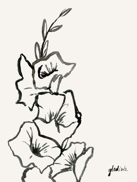 Image Only