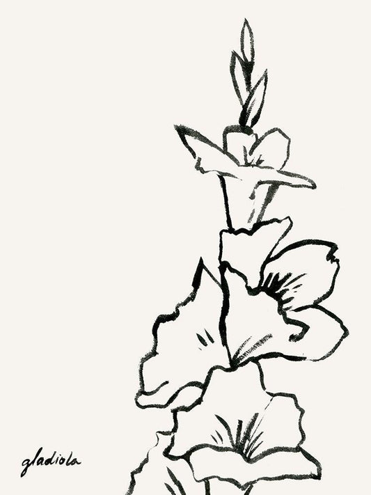 Image Only