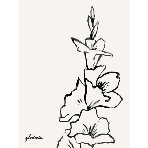 Gladiola Sketch IV White Modern Wood Framed Art Print by Popp, Grace