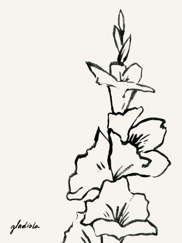 Gladiola Sketch IV White Modern Wood Framed Art Print with Double Matting by Popp, Grace