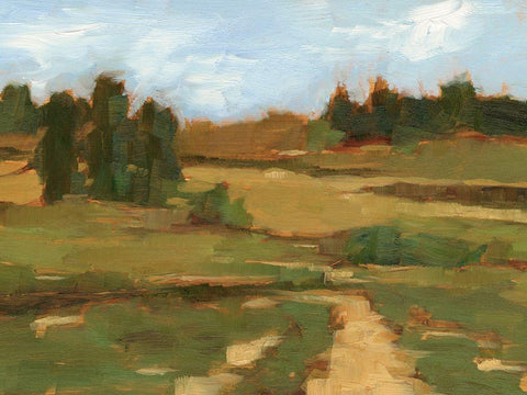 Ochre Valley I Black Ornate Wood Framed Art Print with Double Matting by Harper, Ethan