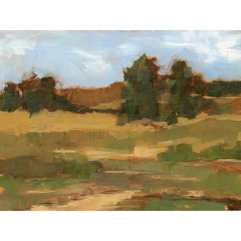 Ochre Valley II Gold Ornate Wood Framed Art Print with Double Matting by Harper, Ethan