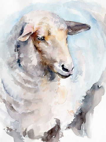 Watercolor Sheep I White Modern Wood Framed Art Print with Double Matting by Parker, Jennifer Paxton