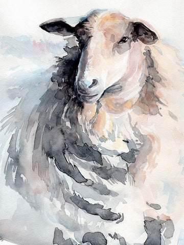 Watercolor Sheep II White Modern Wood Framed Art Print with Double Matting by Parker, Jennifer Paxton