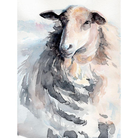 Watercolor Sheep II Black Modern Wood Framed Art Print with Double Matting by Parker, Jennifer Paxton