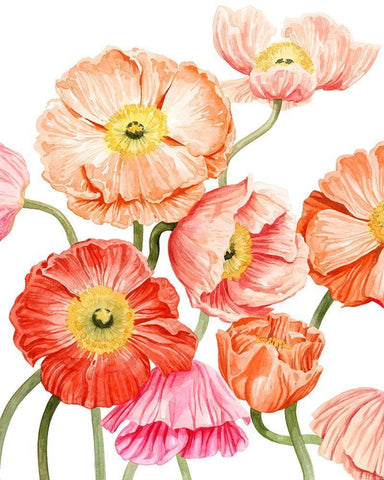Bright Poppies I White Modern Wood Framed Art Print with Double Matting by Popp, Grace