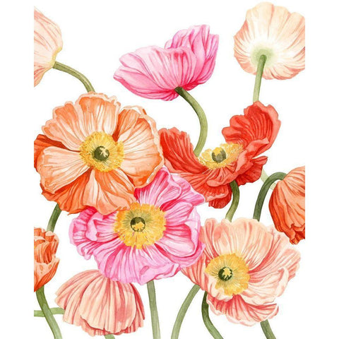 Bright Poppies II Black Modern Wood Framed Art Print by Popp, Grace