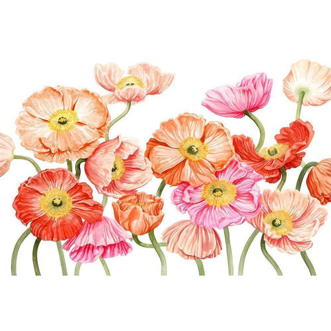Bright Poppies III Gold Ornate Wood Framed Art Print with Double Matting by Popp, Grace