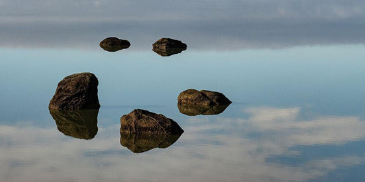Image Only