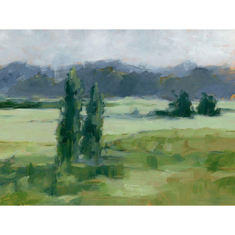 Misty Green Valley I Black Modern Wood Framed Art Print with Double Matting by Harper, Ethan