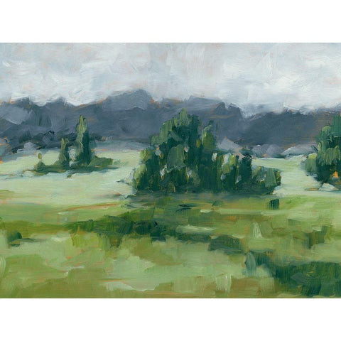 Misty Green Valley II Black Modern Wood Framed Art Print with Double Matting by Harper, Ethan
