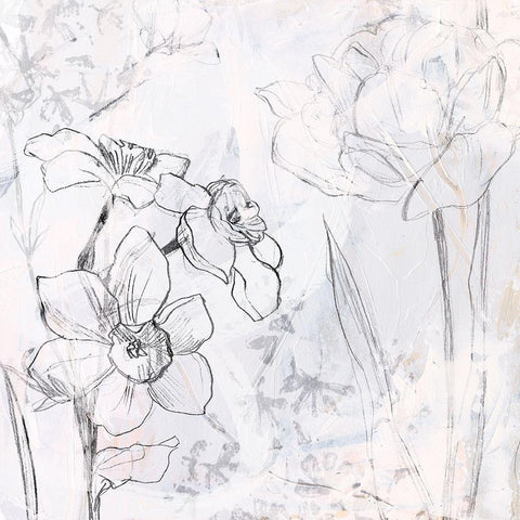 Contour Garden Fresco I Black Ornate Wood Framed Art Print with Double Matting by Vess, June Erica