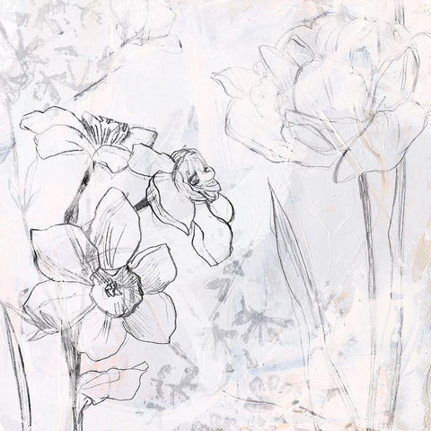 Contour Garden Fresco I Black Modern Wood Framed Art Print by Vess, June Erica