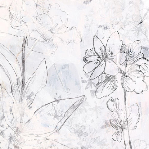 Contour Garden Fresco II Black Modern Wood Framed Art Print with Double Matting by Vess, June Erica