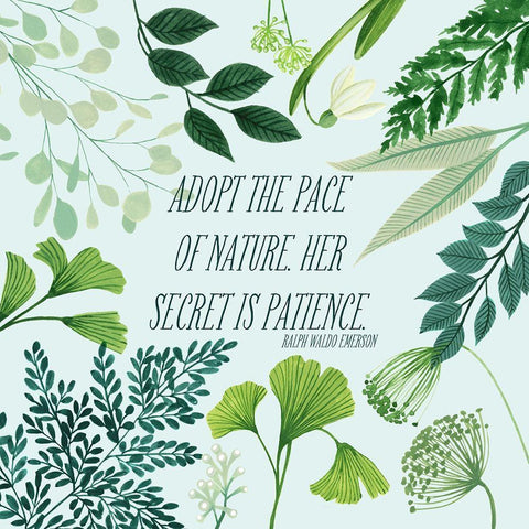 Natural Bliss II White Modern Wood Framed Art Print by Popp, Grace