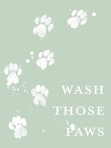 Wash Your Paws III White Modern Wood Framed Art Print with Double Matting by Popp, Grace
