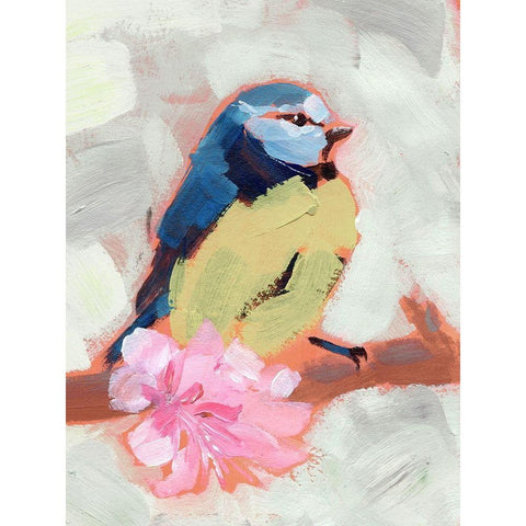 Painted Songbird II Black Modern Wood Framed Art Print with Double Matting by Parker, Jennifer Paxton