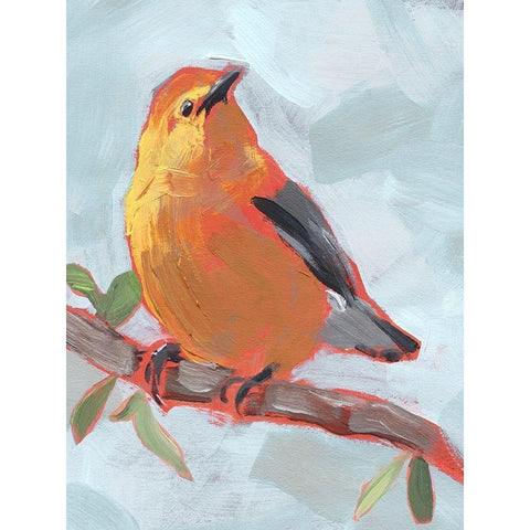 Painted Songbird III White Modern Wood Framed Art Print by Parker, Jennifer Paxton