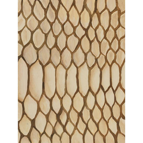 Of the Wild Patterns II Black Modern Wood Framed Art Print with Double Matting by Moore, Regina