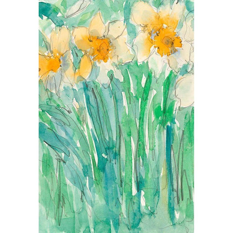 Daffodils Stems I Black Modern Wood Framed Art Print by Dixon, Samuel