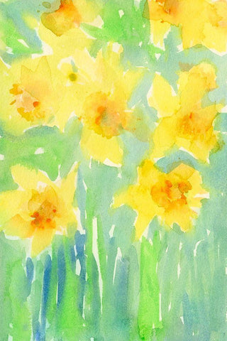 Daffodils II White Modern Wood Framed Art Print with Double Matting by Dixon, Samuel