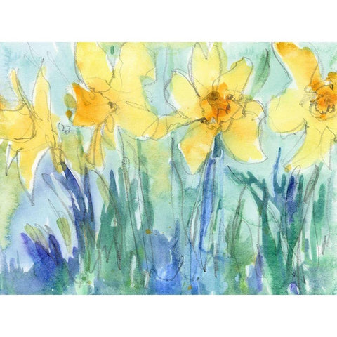 Daffodil Blooms II Black Modern Wood Framed Art Print with Double Matting by Dixon, Samuel