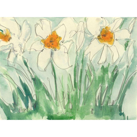 Daffodils Orange and White I Black Modern Wood Framed Art Print by Dixon, Samuel