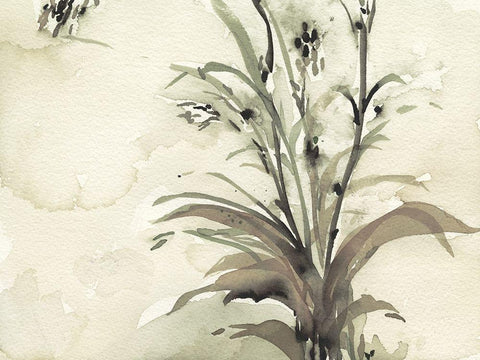 Plant of the Age I Black Ornate Wood Framed Art Print with Double Matting by Dixon, Samuel