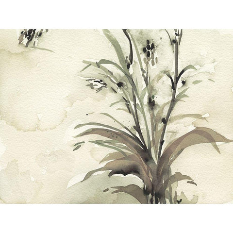 Plant of the Age I Black Modern Wood Framed Art Print by Dixon, Samuel