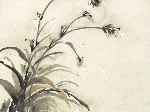 Plant of the Age II Black Ornate Wood Framed Art Print with Double Matting by Dixon, Samuel