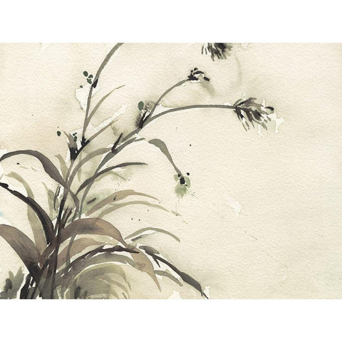 Plant of the Age II Black Modern Wood Framed Art Print by Dixon, Samuel