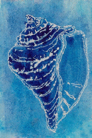 Cerulean Shells I White Modern Wood Framed Art Print with Double Matting by Moore, Regina