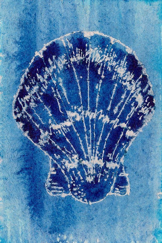 Cerulean Shells VI White Modern Wood Framed Art Print with Double Matting by Moore, Regina