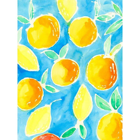 Summer Citrus I Black Modern Wood Framed Art Print with Double Matting by Moore, Regina