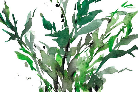 Just the Leaves II White Modern Wood Framed Art Print with Double Matting by Dixon, Samuel