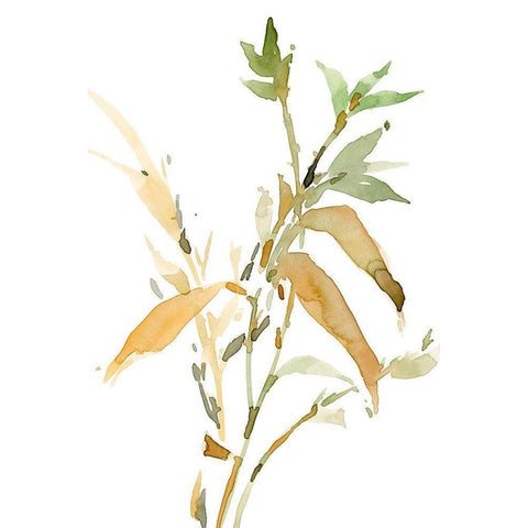 Stems I Gold Ornate Wood Framed Art Print with Double Matting by Dixon, Samuel