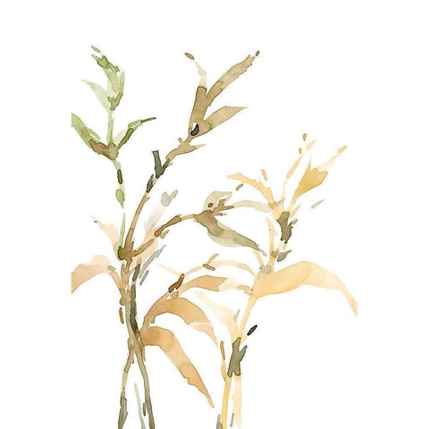 Stems II White Modern Wood Framed Art Print by Dixon, Samuel