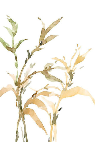 Stems II White Modern Wood Framed Art Print with Double Matting by Dixon, Samuel