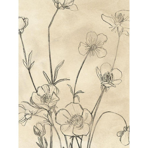 Vintage Wildflowers I Black Modern Wood Framed Art Print by Vess, June Erica
