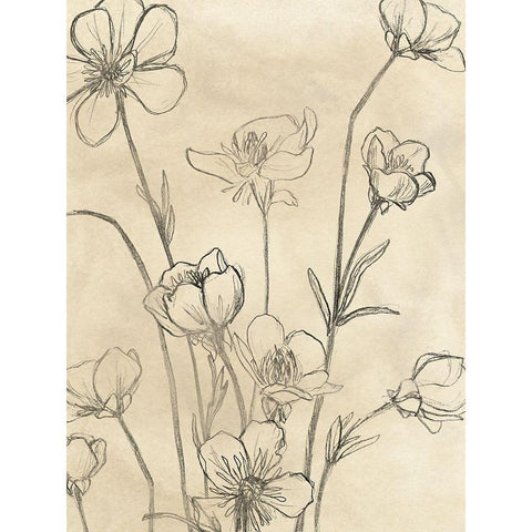 Vintage Wildflowers II White Modern Wood Framed Art Print by Vess, June Erica