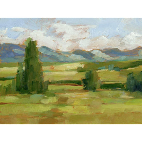 Tuscan Vista I Gold Ornate Wood Framed Art Print with Double Matting by Harper, Ethan