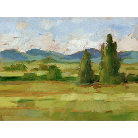Tuscan Vista II Black Modern Wood Framed Art Print with Double Matting by Harper, Ethan