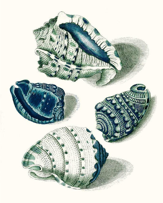 Image Only