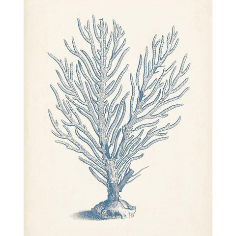 Antique Coral Collection II White Modern Wood Framed Art Print by Vision Studio