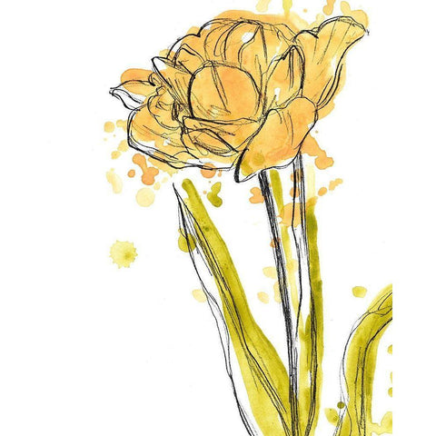 Spring Contours I Black Modern Wood Framed Art Print by Vess, June Erica